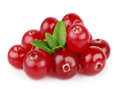 Cranberry en Uromexil Forte